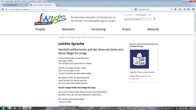 Internet-Seite www.neue-wege-fuer-jungs.de